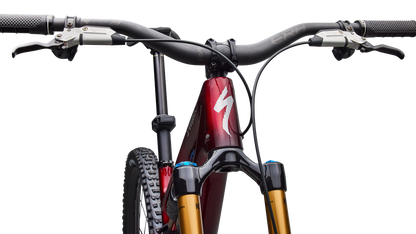 S-Works Stumpjumper 15 EVO