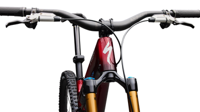 S-Works Stumpjumper 15 EVO