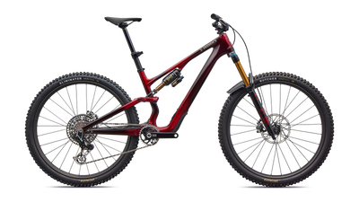 S-Works Stumpjumper 15 EVO