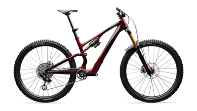 S-Works Stumpjumper 15 EVO