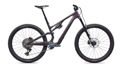 Stumpjumper 15 EVO Expert  - SRAM GX AXS, FOX Performance Elite