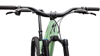 Stumpjumper 15 EVO Expert  - SRAM GX AXS, FOX Performance Elite