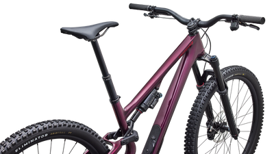 Stumpjumper 15 EVO Expert