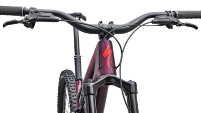 Stumpjumper 15 EVO Expert