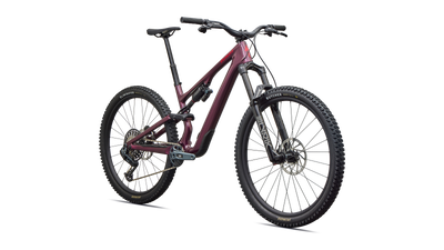 Stumpjumper 15 EVO Expert