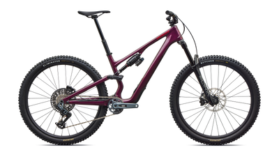 Stumpjumper 15 EVO Expert