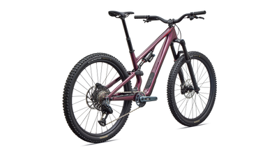 Stumpjumper 15 EVO Expert