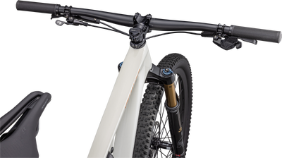 Epic EVO Pro - SRAM X01 AXS, FOX Factory