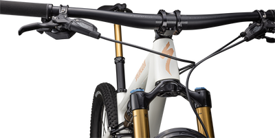 Epic EVO Pro - SRAM X01 AXS, FOX Factory