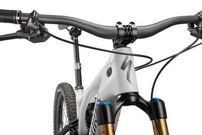 S-Works Turbo Levo 3