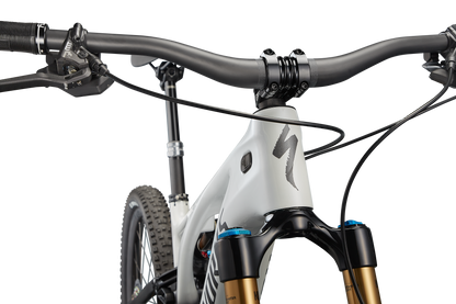 S-Works Turbo Levo 3