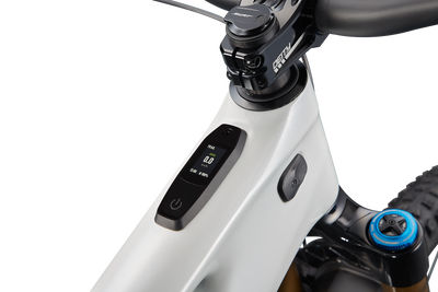 S-Works Turbo Levo 3