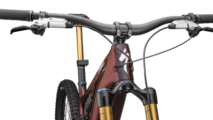 S-Works Turbo Levo 4