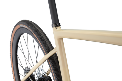 Diverge Pro Carbon - SRAM Force eTAP AXS / X01 Eagle AXS