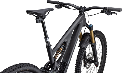 S-Works Stumpjumper EVO  - SRAM XX1 AXS, FOX Factory