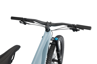 Stumpjumper EVO Comp - SRAM GX Eagle, FOX Rhythm