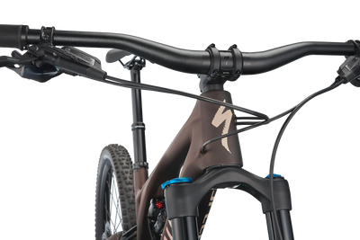 Stumpjumper EVO Comp - SRAM GX Eagle, FOX Rhythm