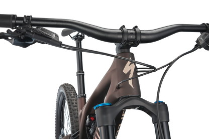 Stumpjumper EVO Comp  - SRAM GX Eagle, FOX Rhythm