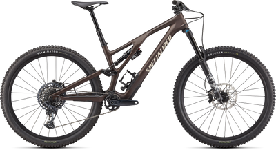 Stumpjumper EVO Comp - SRAM GX Eagle, FOX Rhythm