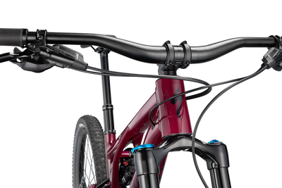 Stumpjumper EVO Comp Alloy - SRAM NX Eagle, FOX Rhythm