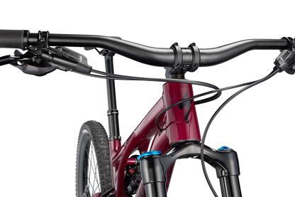 Stumpjumper EVO Comp Alloy  - SRAM NX Eagle, FOX Rhythm