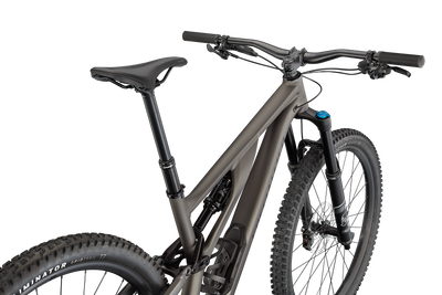 Stumpjumper EVO Comp Alloy - SRAM NX Eagle, FOX Rhythm