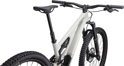 Stumpjumper EVO Expert - SRAM GX Eagle AXS, FOX Performance Elite
