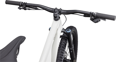 Stumpjumper EVO Expert - SRAM GX Eagle AXS, FOX Performance Elite