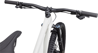 Stumpjumper EVO Expert  - SRAM GX Eagle AXS, FOX Performance Elite