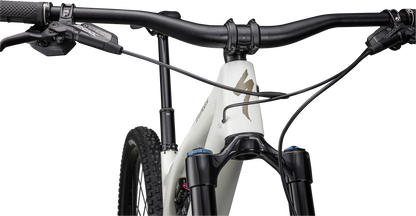 Stumpjumper EVO Expert  - SRAM GX Eagle AXS, FOX Performance Elite