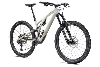 Stumpjumper EVO Expert - SRAM GX Eagle AXS, FOX Performance Elite