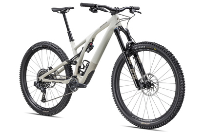 Stumpjumper EVO Expert  - SRAM GX Eagle AXS, FOX Performance Elite