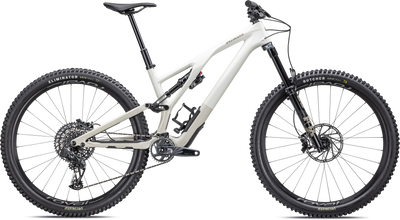 Stumpjumper EVO Expert - SRAM GX Eagle AXS, FOX Performance Elite