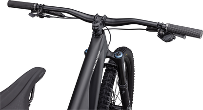 Stumpjumper EVO Expert  - SRAM GX Eagle AXS, FOX Performance Elite