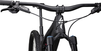 Stumpjumper EVO Expert - SRAM GX Eagle AXS, FOX Performance Elite