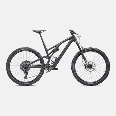 Stumpjumper EVO Expert - SRAM GX Eagle AXS, FOX Performance Elite