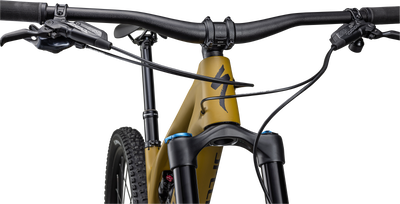 Stumpjumper EVO Comp - SRAM GX Eagle, FOX Rhythm