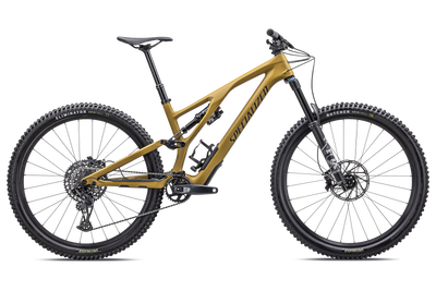 Stumpjumper EVO Comp - SRAM GX Eagle, FOX Rhythm