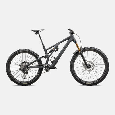 S-Works Stumpjumper EVO T-Type - SRAM X0 AXS, FOX Factory