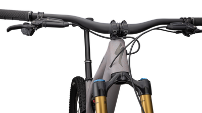 Stumpjumper EVO Pro T-Type - SRAM X0 AXS, FOX Factory