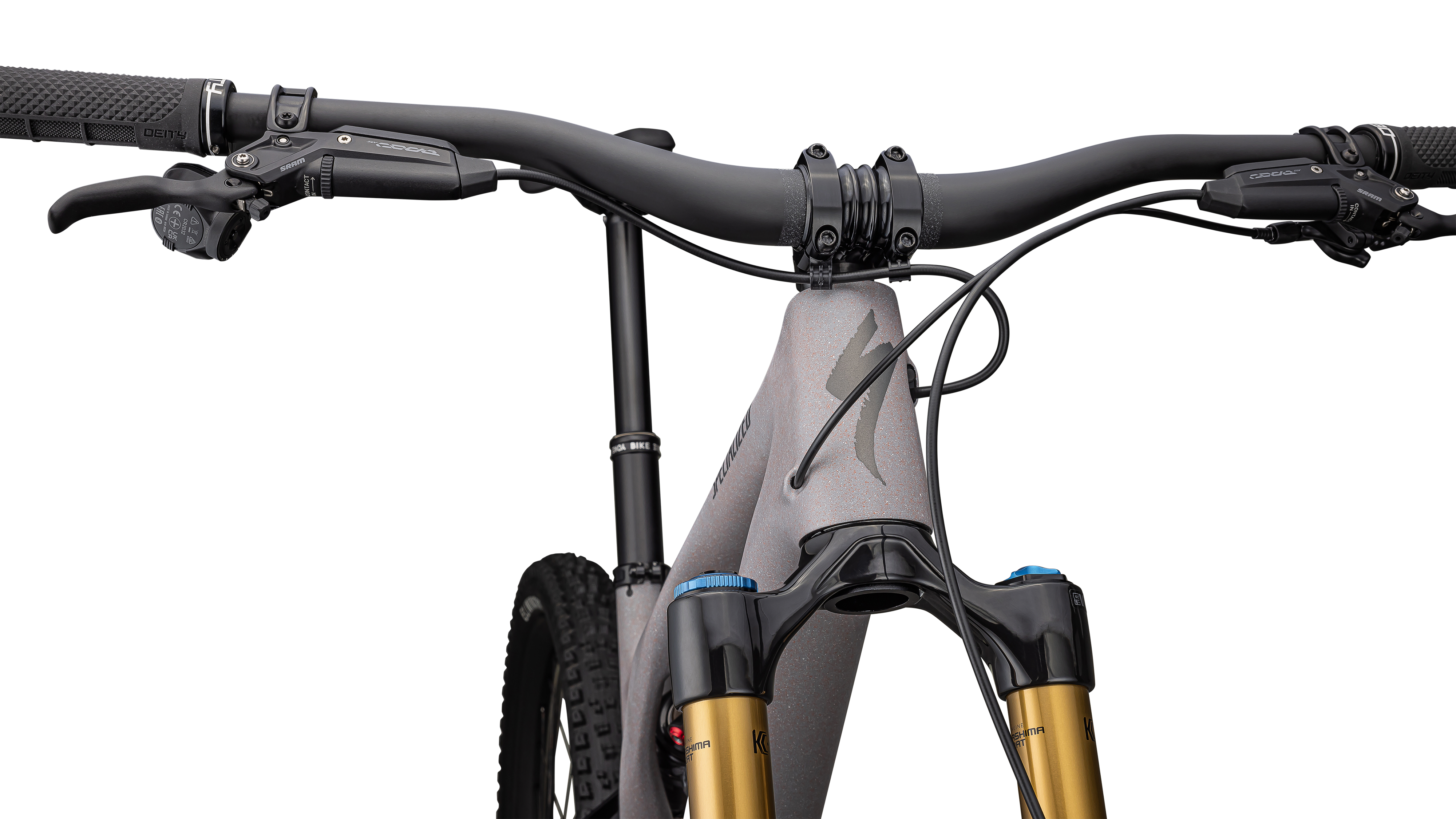 Stumpjumper EVO Pro T-Type  - SRAM X0 AXS, FOX Factory