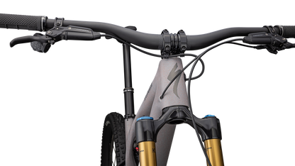 Stumpjumper EVO Pro T-Type  - SRAM X0 AXS, FOX Factory