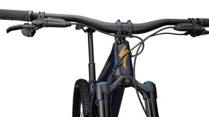 Stumpjumper EVO Expert  - SRAM GX AXS, FOX Performance Elite