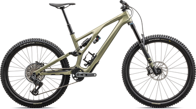 Stumpjumper EVO Expert - SRAM GX AXS, FOX Performance Elite
