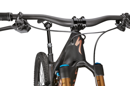 S-Works Turbo Levo SL