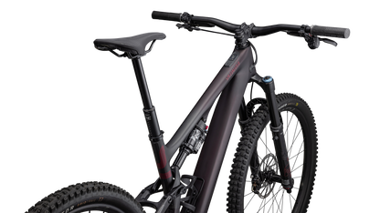 Turbo Levo SL 2 Expert Carbon