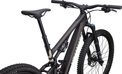 Turbo Levo SL 2 Comp Carbon