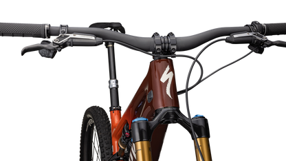 S-Works Turbo Levo SL 2 Carbon