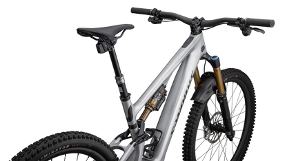 S-Works Turbo Levo SL 2 Carbon