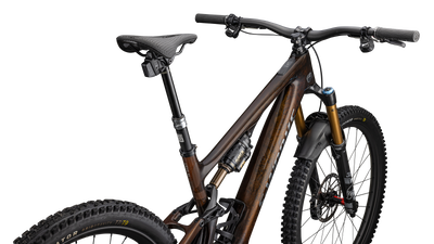 S-Works Turbo Levo SL 2